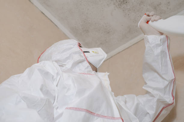 Best Certified Mold Removal  in Forest Lake, IL